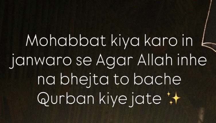 Salman Hasan Khan tweet media