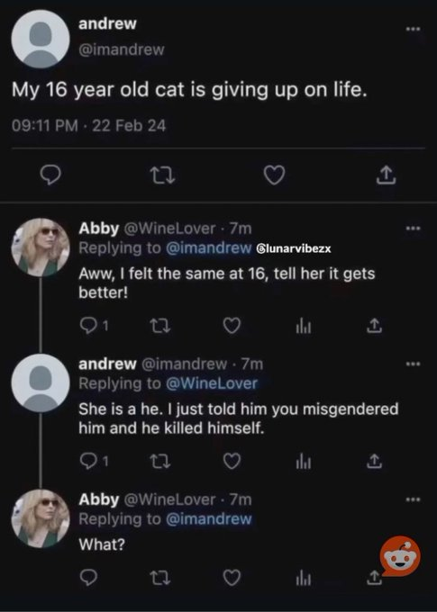 RealestMemes tweet media