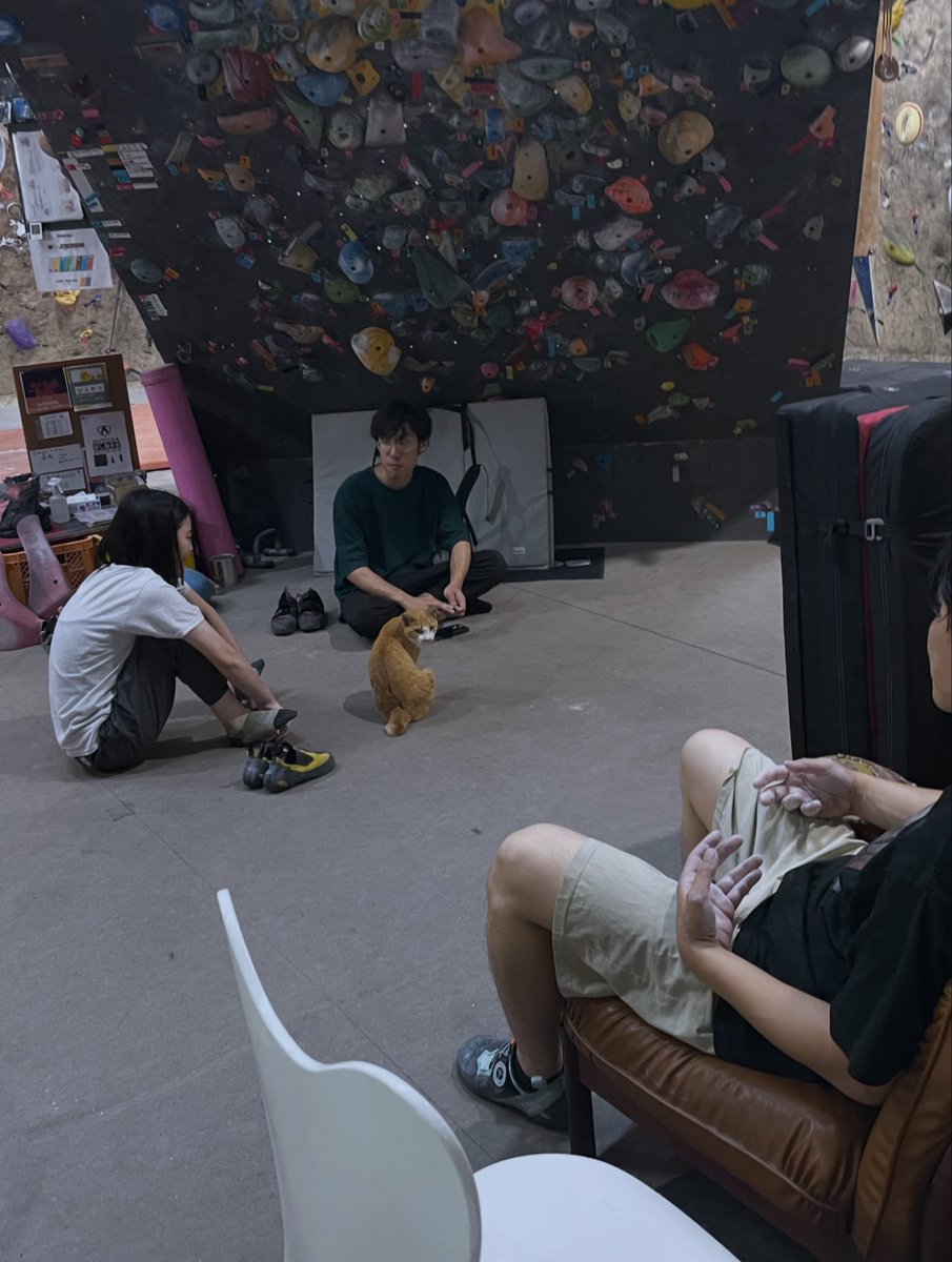 joywall14's tweet photo. - 6月の変則営業日 -

6月、一回は店主出張でのお仕事。もう一回は久々教え子連れてユース選手権に行こうと思います。

🗓️schedule🗓️_______

✔︎ 6/5金〜7日,6/9火 ▶︎ 店休日/セルフ会員予約制
✔︎ 6/16火 ▶︎ 店休日/セルフ会員予約制

blog up📗
https://t.co/tgdYa9xjgf https://t.co/5DmL6CzRSD