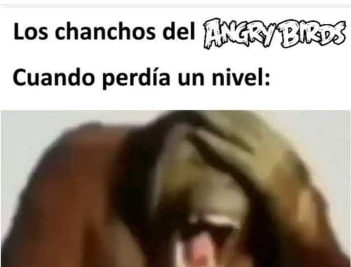 Chatea con Hecatia Lapislázuli 🌹⚠️💧 tweet media