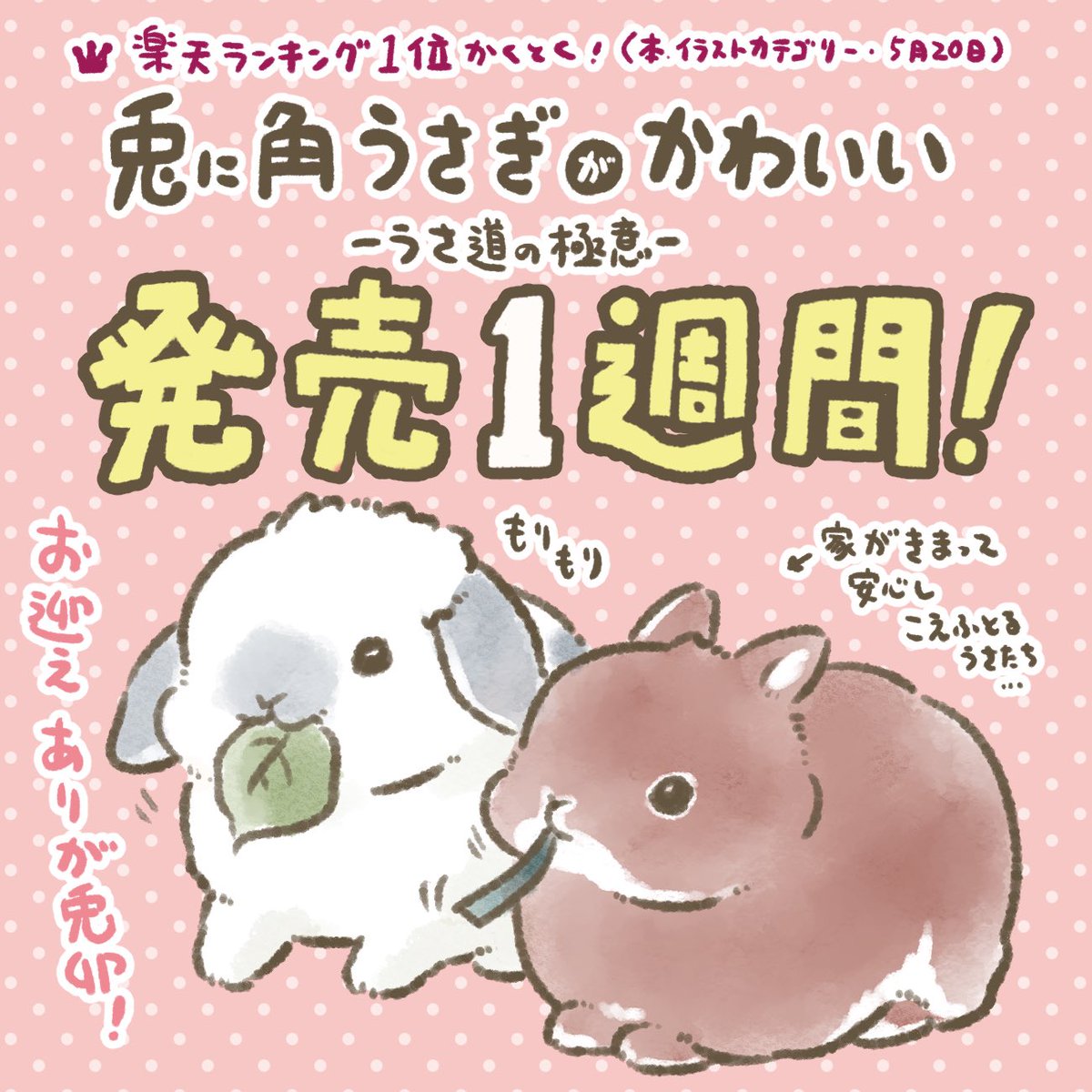 taiga15's tweet photo. 新刊「兎に角うさぎがかわいい-うさ道の極意-」
発売1週間！お迎えいただいた皆さまありがとうございます！まだまだお家を募集しておりますので、応援やご紹介など大かんげいです。レビューや評価に圧倒的感謝！(※店サンプルが図鑑部分のみで内容不明状態🤣あなたのレポートで助かる人がいるはず…！ https://t.co/2kXNCR3HQS