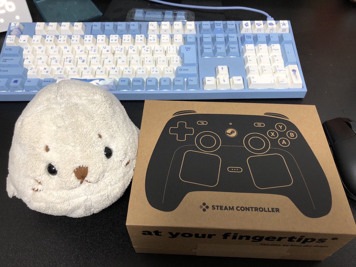 Steam Controllerが届いた🙌