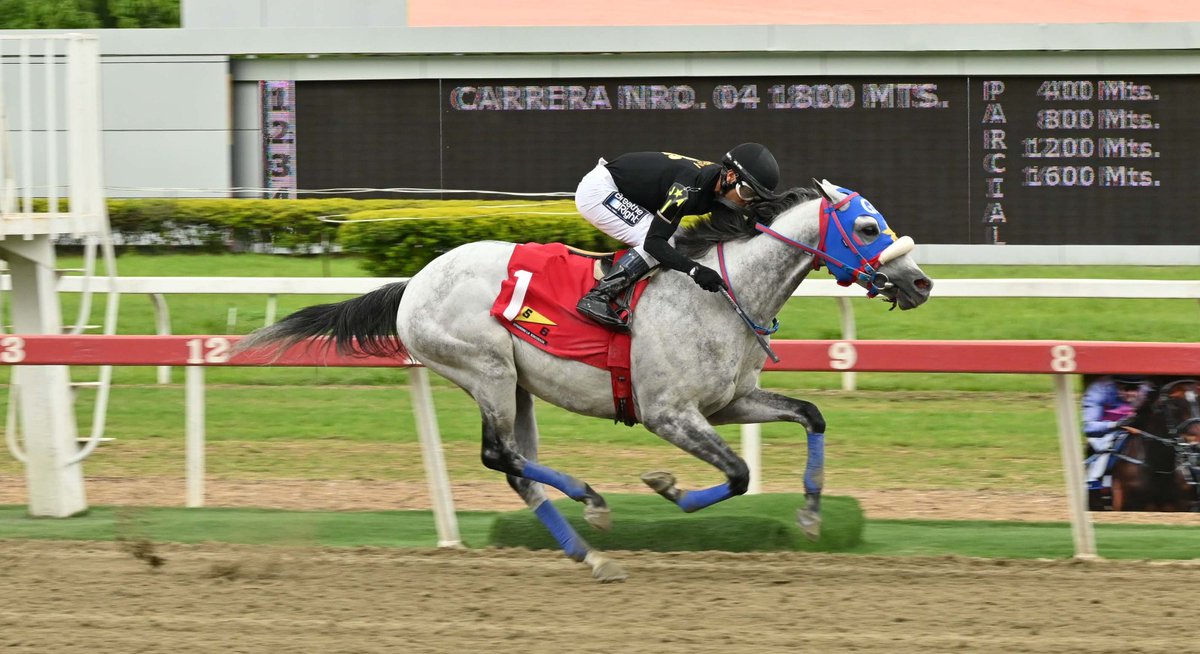 Haras La Primavera🇻🇪🏆 tweet media