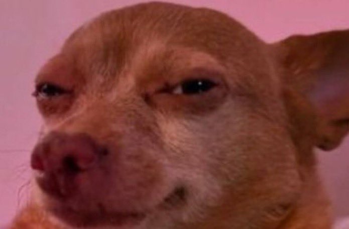 EmoDoge tweet media