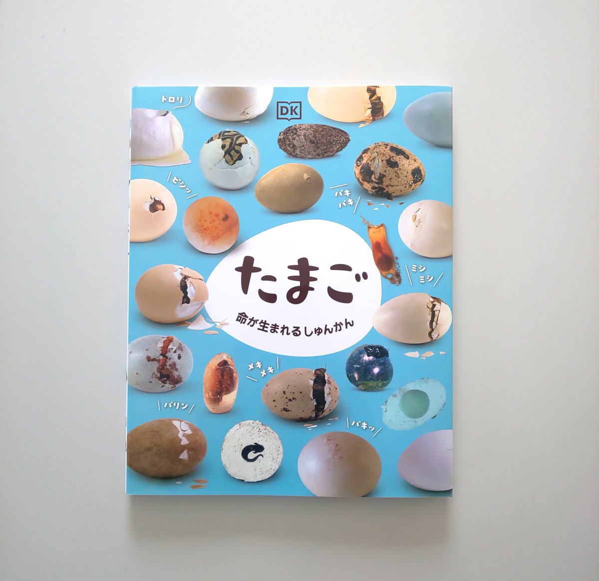 bl_shuppan_PR's tweet photo. 子どもたちにぜひ読んでほしい図鑑をご紹介。『たまご　命の生まれるしゅんかん』です。鳥や魚、昆虫など様々な生き物の孵化する過程を写真で紹介しています。小さなたまごの中に命がつまっているのは驚きですし、時間をかけて自分の力でたまごから出てくる瞬間も感動です。命、大事にしなきゃなあ☺️ https://t.co/lvuAytsM9L