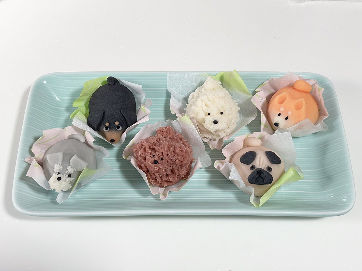 の🐕. tweet media