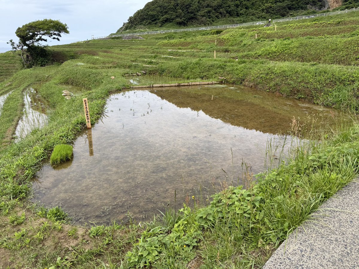 能登デスクさん tweet media