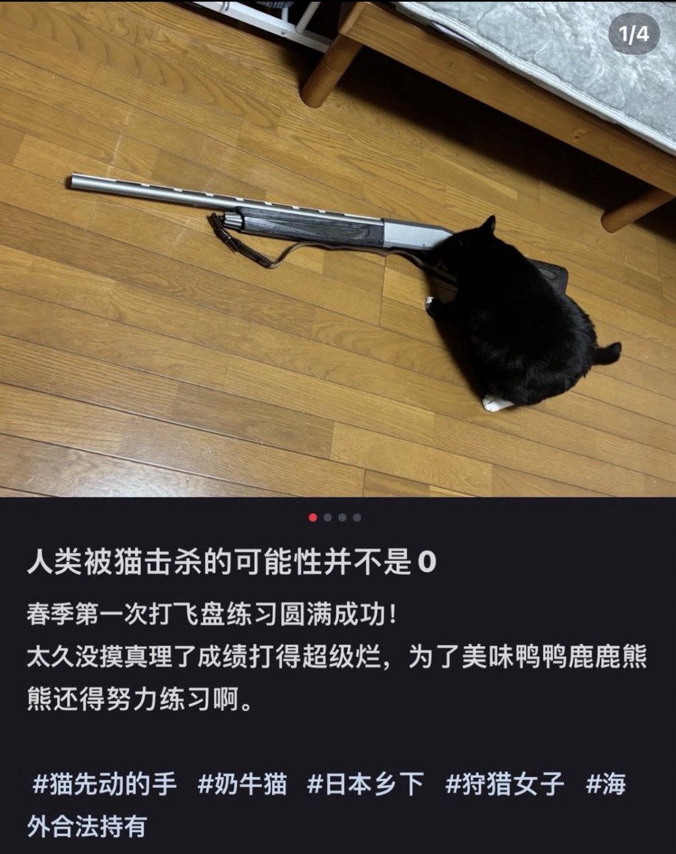 髙橋𝕏羚@闇を暴く人。 tweet media