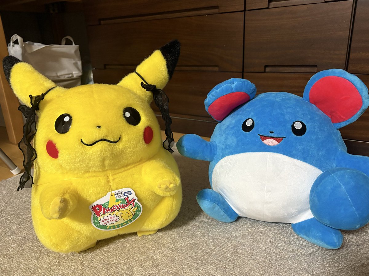 PiustaffP's tweet photo. 新しいともだち！
でかマリさいこーにかわいい💙 https://t.co/XOvRpYHwIZ