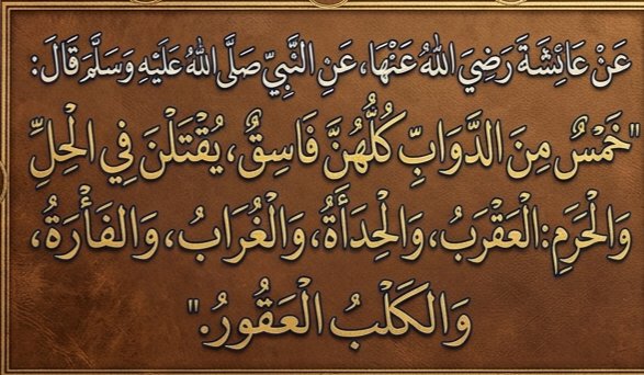 mo7mad tweet media