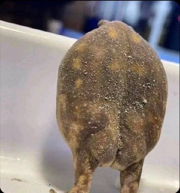 Kamga Kôtòpî Mignon🌀 tweet media