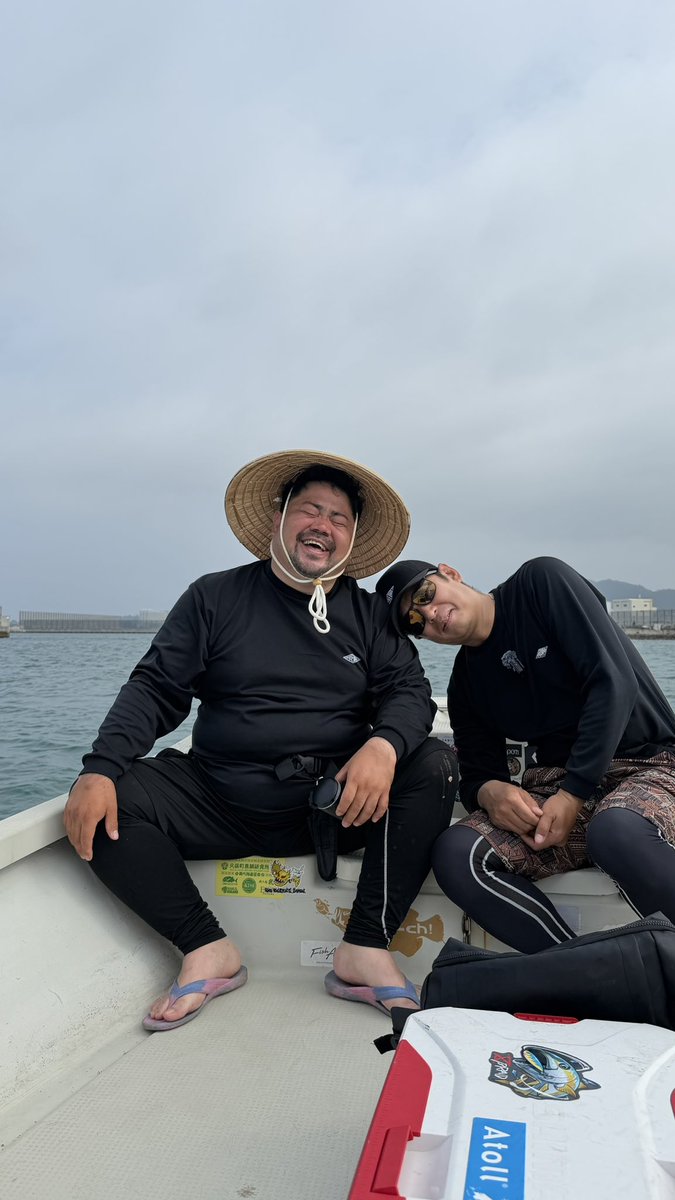 とんとん🐽 tweet media