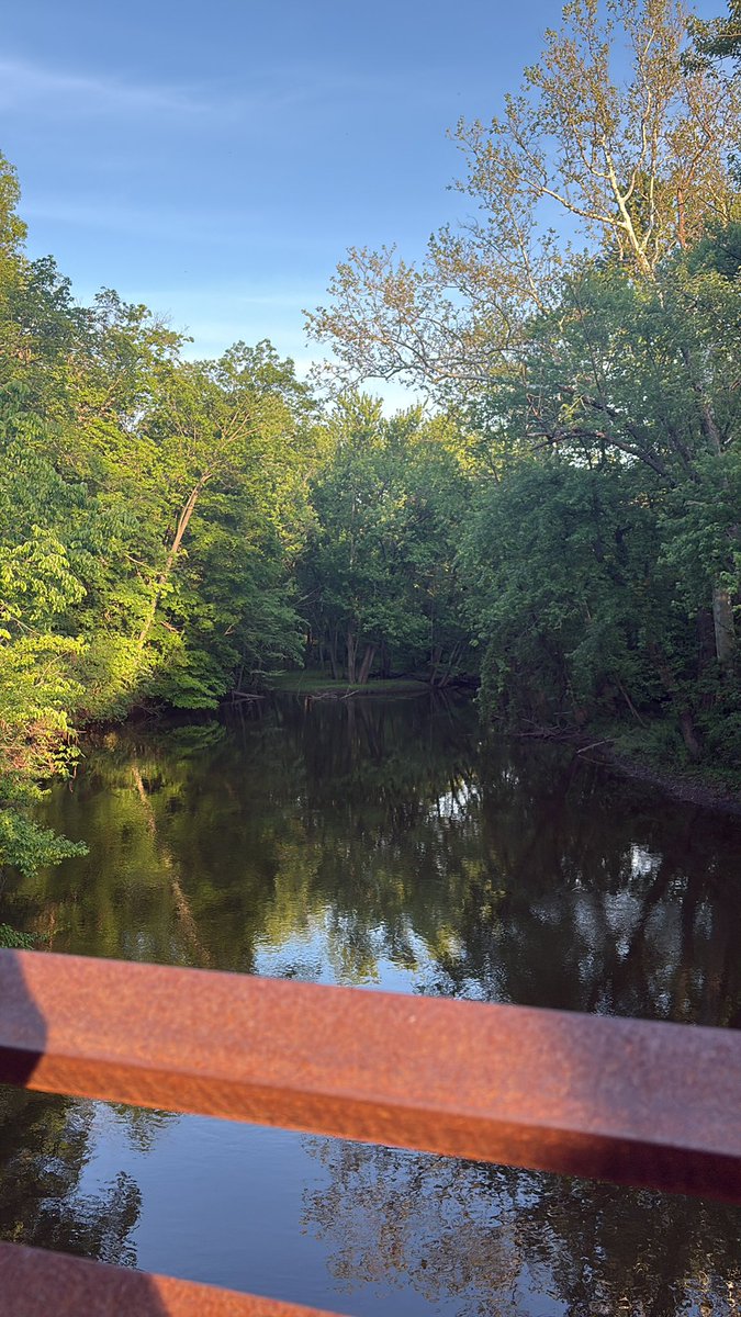 Red Cedar Final Goose tweet media