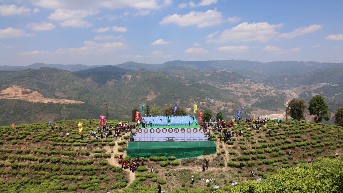 hhrmt208's tweet photo. By giving local specialties a certified “ID,” Honghe’s eco-friendly model boosts value and brings prosperity home. #RuralRevitalization #Ecolog https://t.co/lwBqnr4H9j