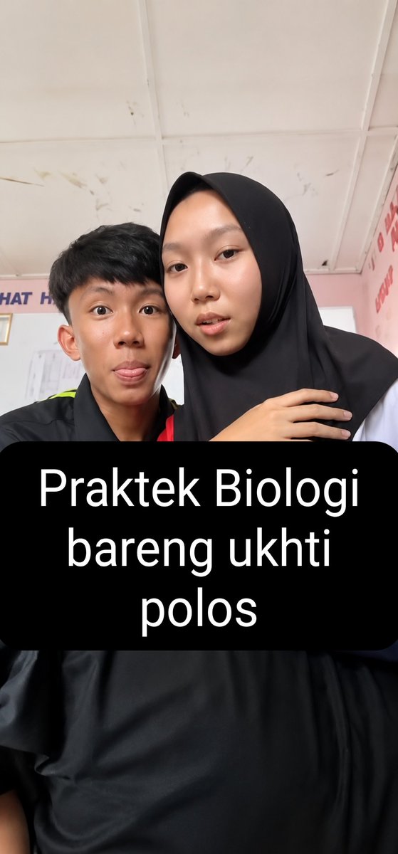 lomvob tweet media