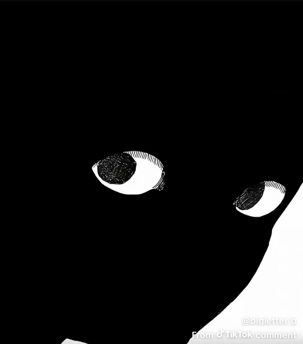 CipherXMerdoc's tweet photo. @ElectricbumSky I beg your pardon? https://t.co/EdGkjB5yXU
