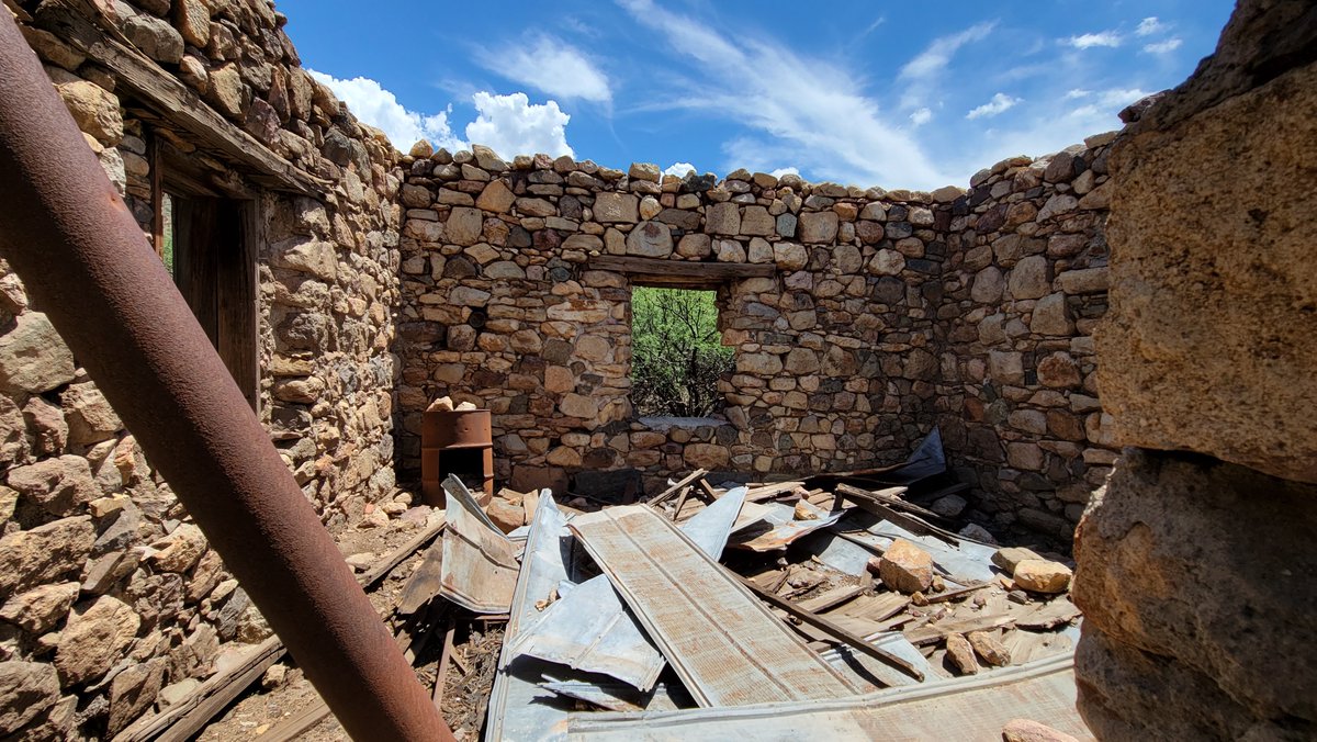 Desert Dweller tweet media