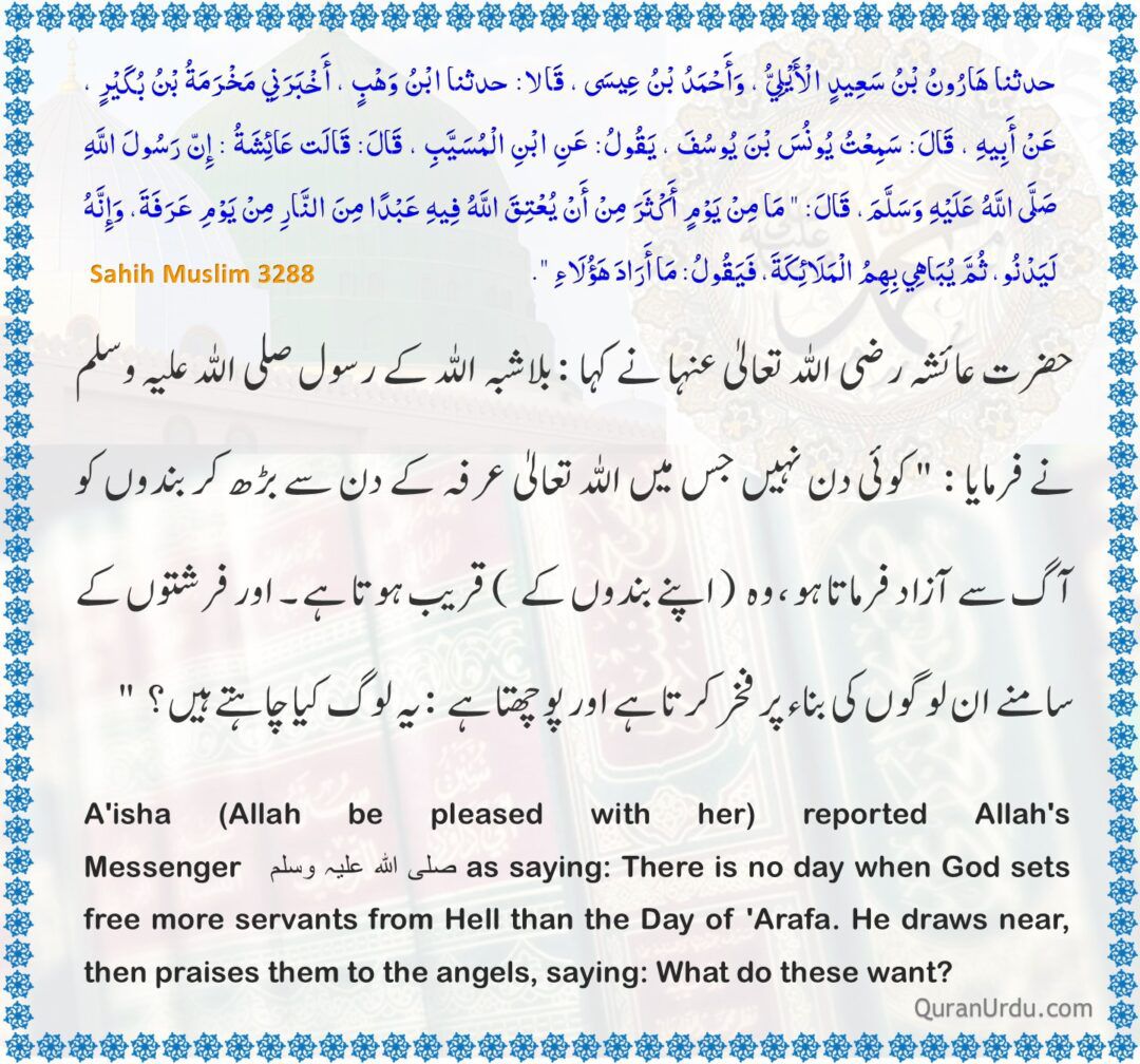 Munawar Hayat tweet media