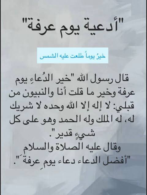 Aisha." tweet media