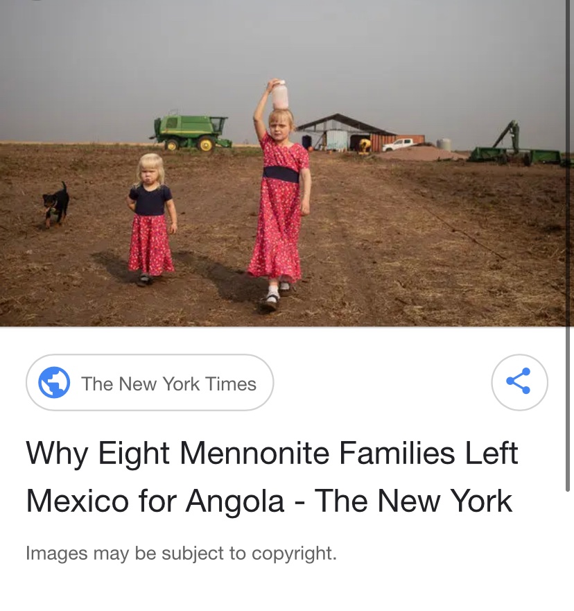 Demographic Renaissance tweet media