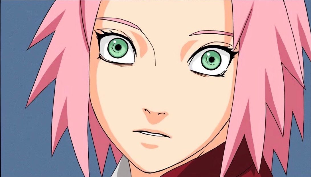 daily sakura tweet media
