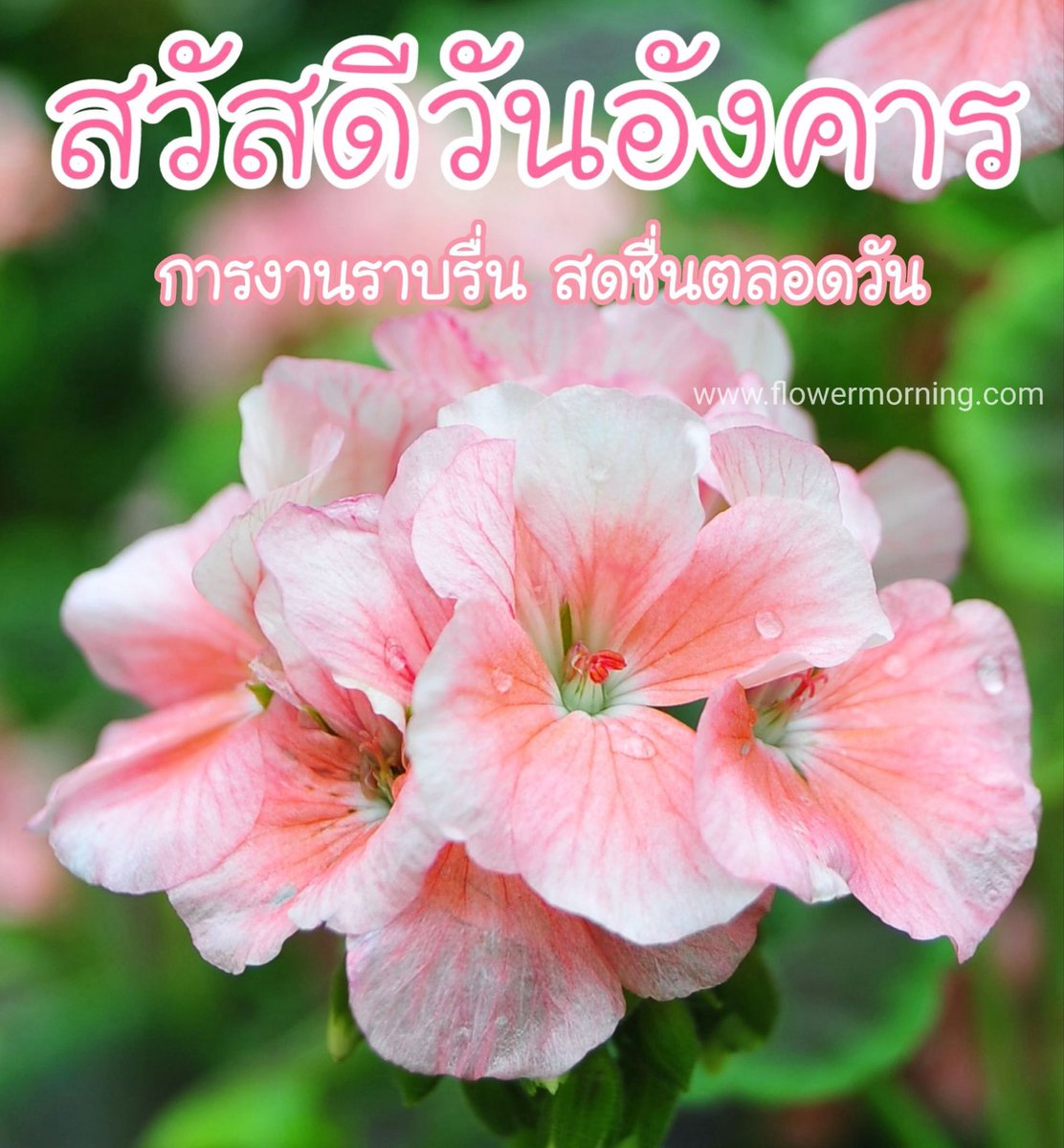 94° tweet media