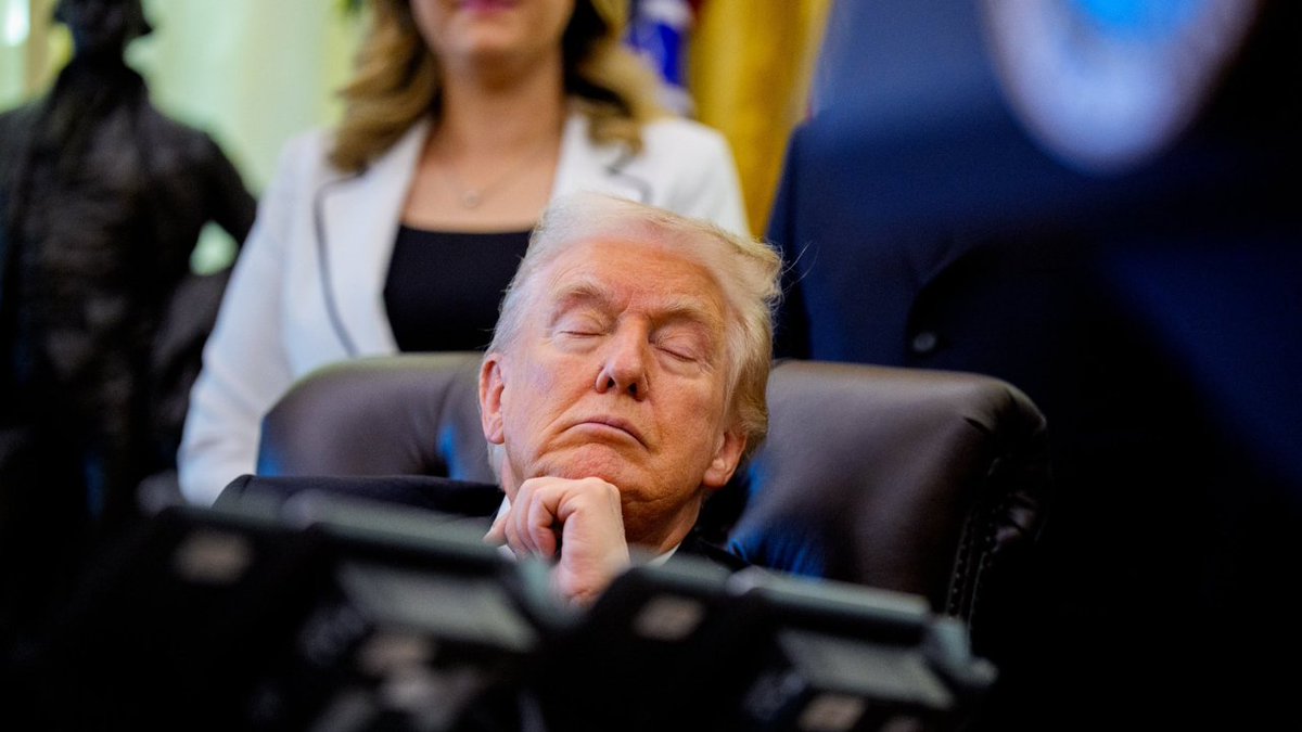 Mushnut tweet media