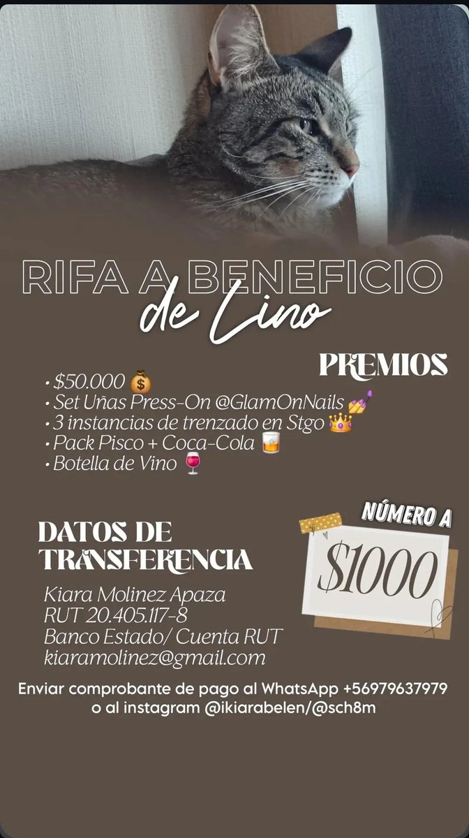 JJKaJ1412's tweet photo. Holaa mi amiga necesita vender números de rifa por una urgencia para su gatito!! Me sirve un rt o si pueden comprar un número muchas gracias https://t.co/UxrjsO4FGY