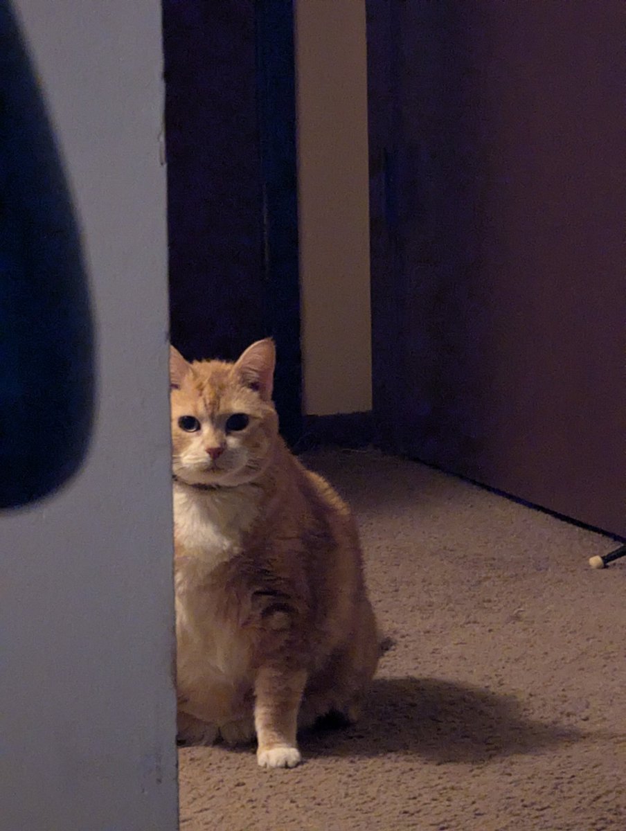 LoadedSandwich's tweet photo. She is so fat and judgmental https://t.co/OtSTmUcneC