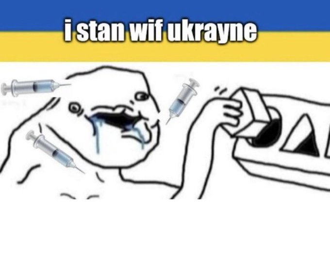4mat.spinning cat tweet media