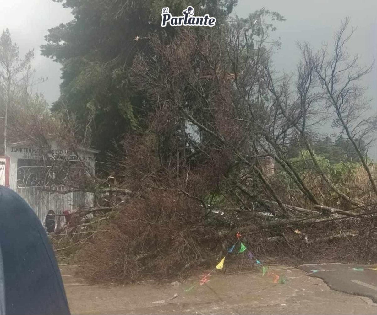 El Parlante tweet media