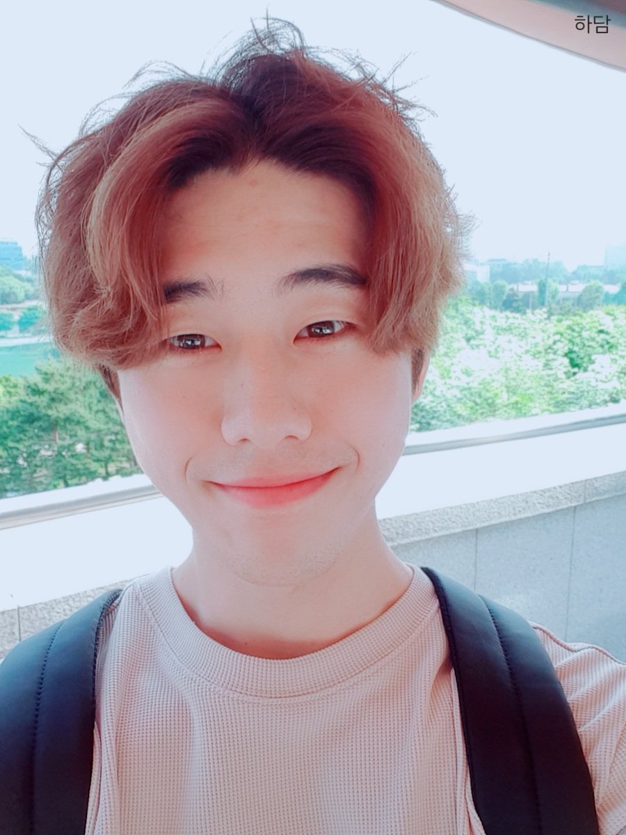 하담 tweet media