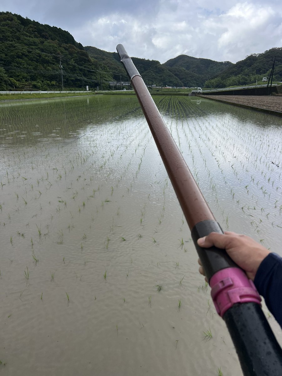 田舎の者mo-chan tweet media