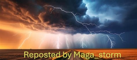 ⛈️Stormy⛈️ tweet media