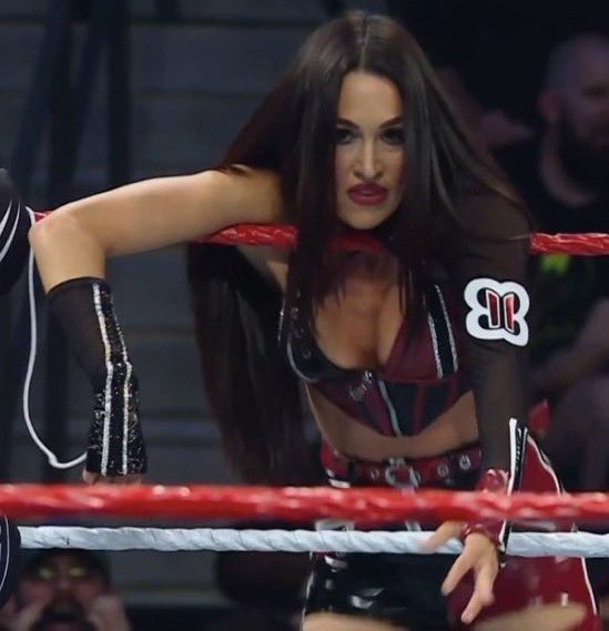 snoopens's tweet photo. if you told me this was nikki bella pulling twin magic, i would believe you. 

they're the exact same 💋👯🏻‍♀️ https://t.co/JRxHqC2ZxF