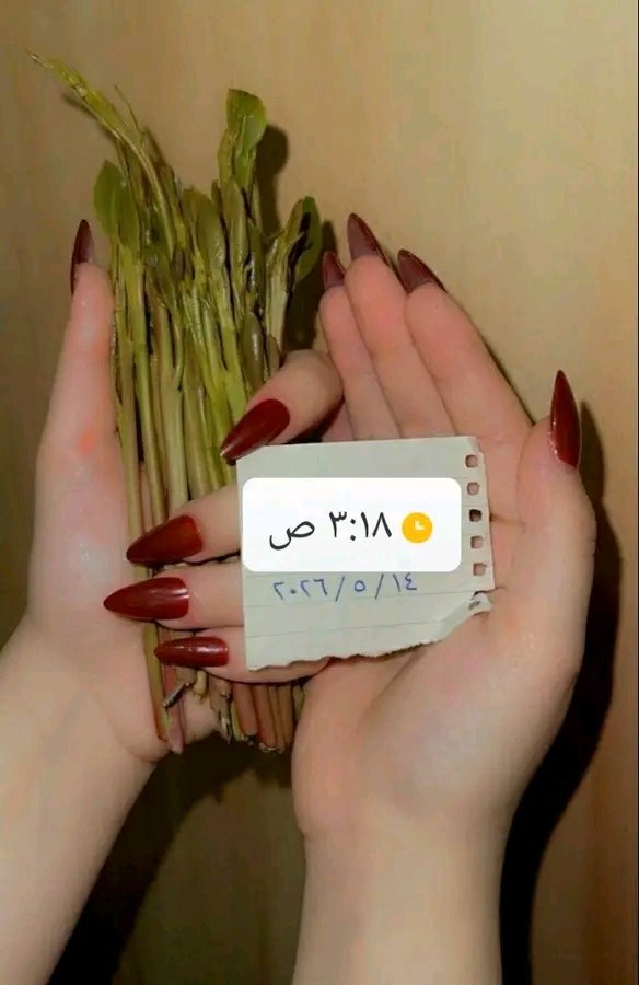brnsysa136's tweet photo. خضوع الرجل و السيطر عليه ليس كسرا، بل بناء وصياغة جديدة لرجل اختار أن يسلِم روحه و عقله و قلبه قبل جسده لانثى طاغية مسيطرة  طاعة لها وتنفيد اوامرها انها انثى قوية كسرت كبريائه.❤️ https://t.co/MJ2u4tDWoK