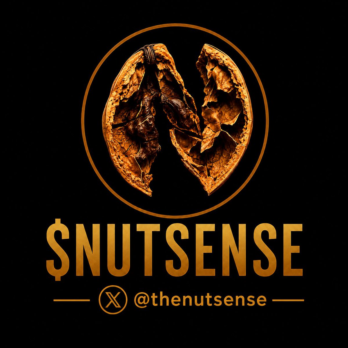 NUTSENSE tweet media