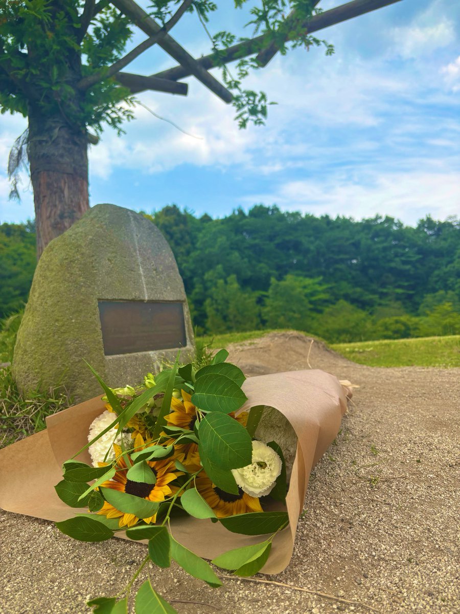 ShareTheSpring's tweet photo. 🌻 https://t.co/ttz3JzPkdS