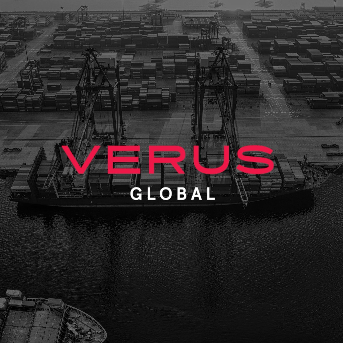 Verus Global tweet media