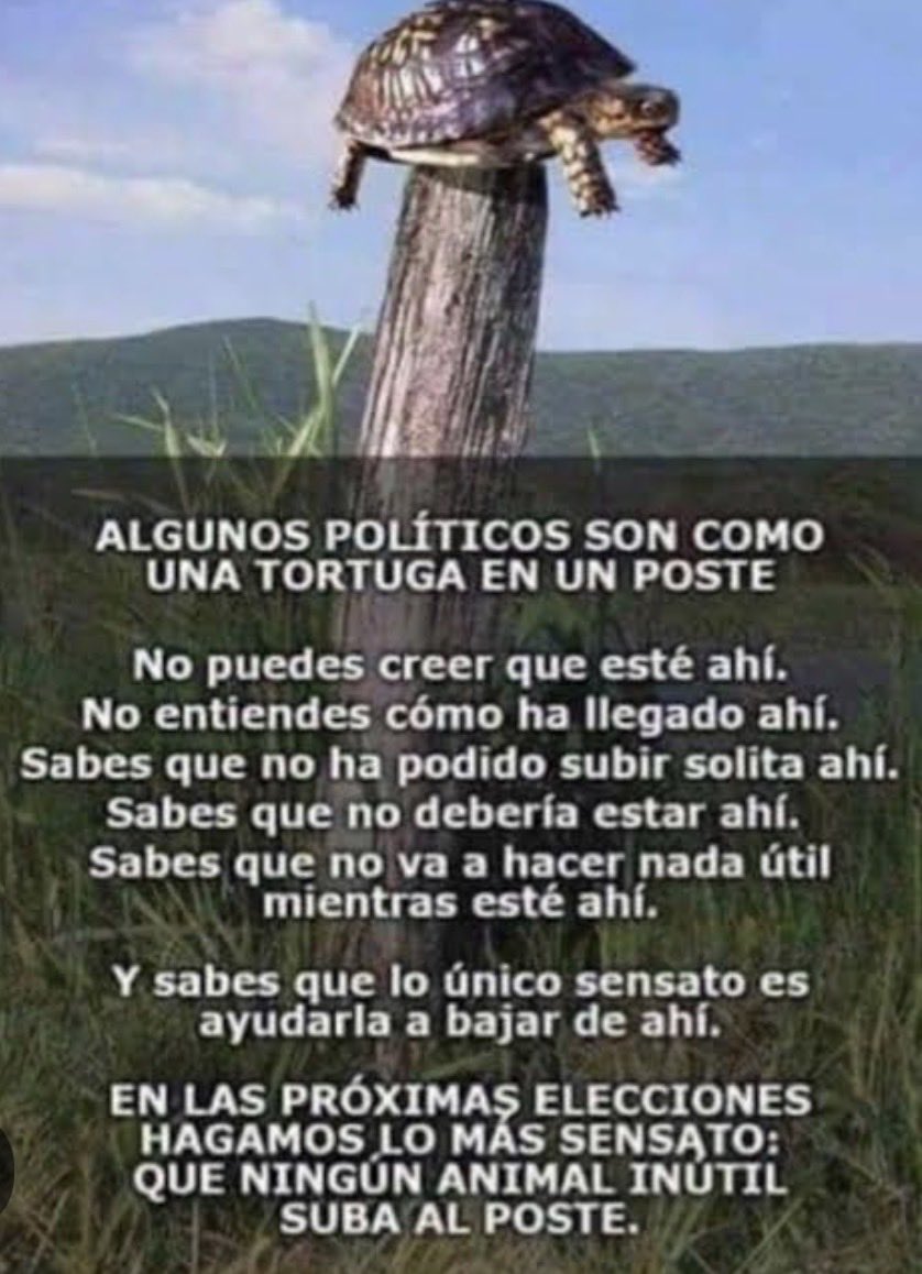 Doc de la víscera magna tweet media
