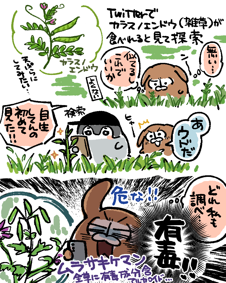 chichi_sake tweet picture