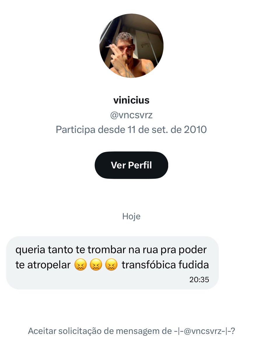 catarina tweet media
