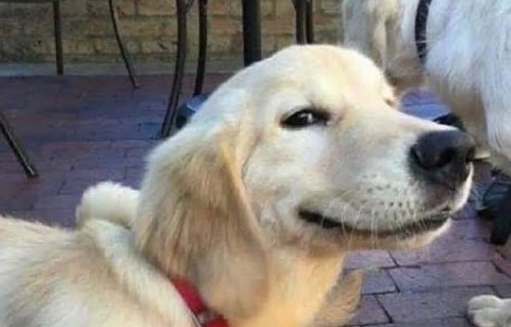 _jeffrey_valle's tweet photo. Tu cara cuando nadie creía que tenías la razón y al final sí estabas en lo correcto. https://t.co/t6zlxJlpZ6