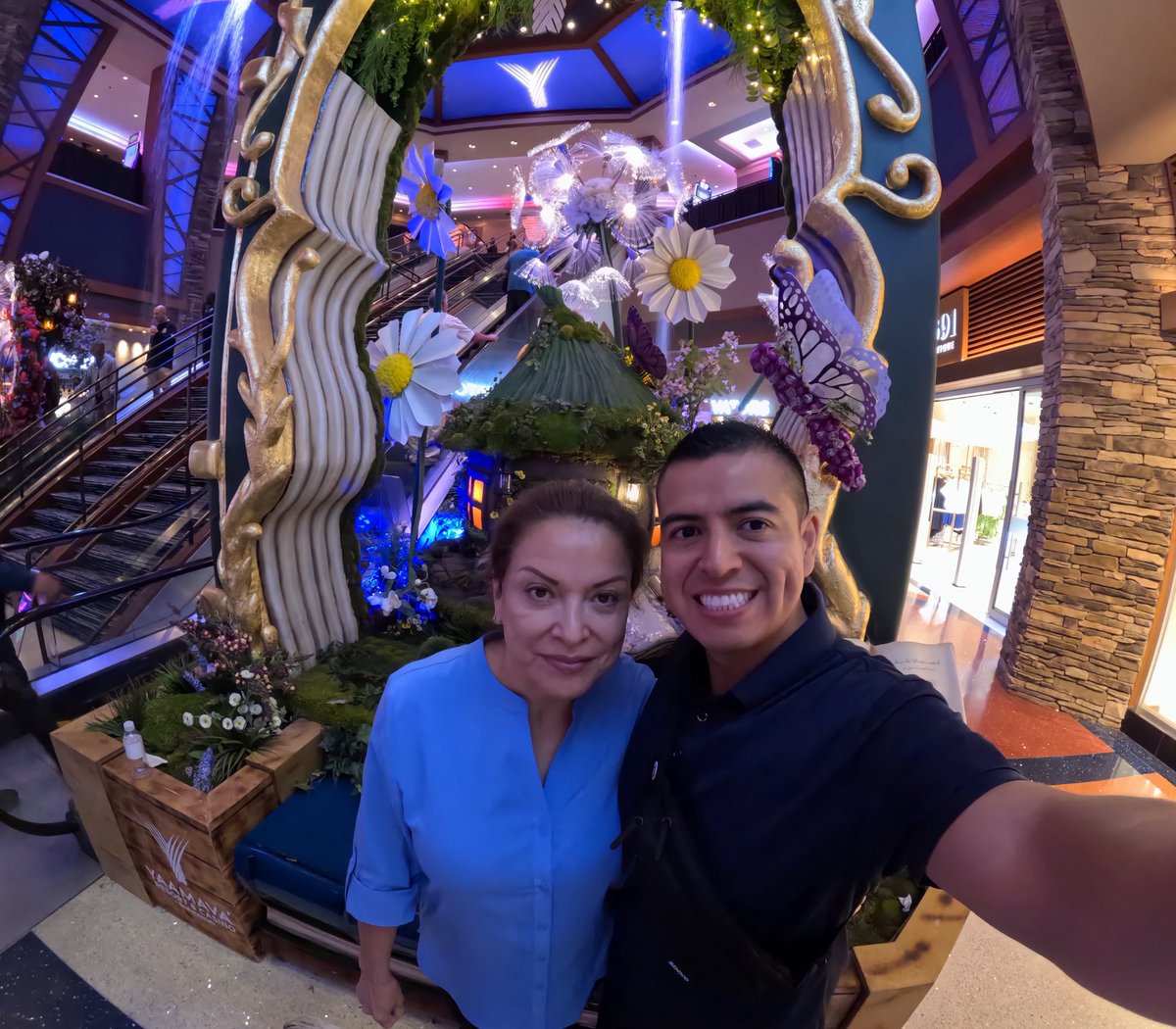 Michael Suarez tweet media