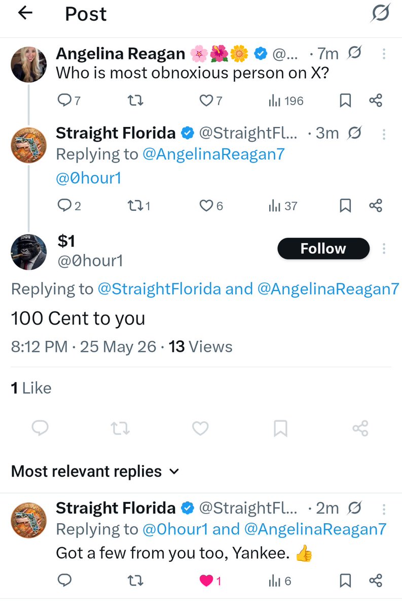 Straight Florida tweet media