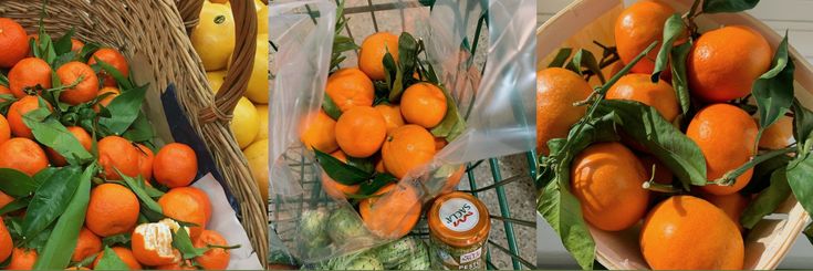fifi ! 🍊 ᵉᵈᵗʷᵗ (-1/5lbs) tweet media