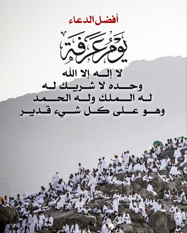 b3edae5348ee412's tweet photo. #يوم_عرفه
اللهم رب السماوات السبع ورب العرش العظيم 
اجعلنا من المقبولين بين عبادك الصالحين اللهم أغفر لنا ولوالدينا ولجميع المسلمين والمسلمات والمؤمنين والمؤمنات الأحياء منهم والأموات اللهم امين https://t.co/MrprEeMk79