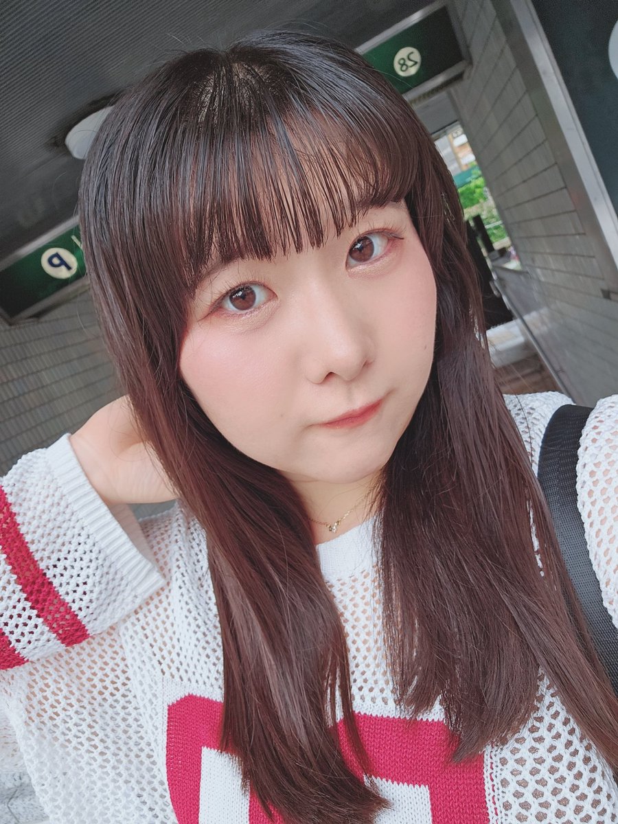 朋音 まゆ🦕☀️ tweet media