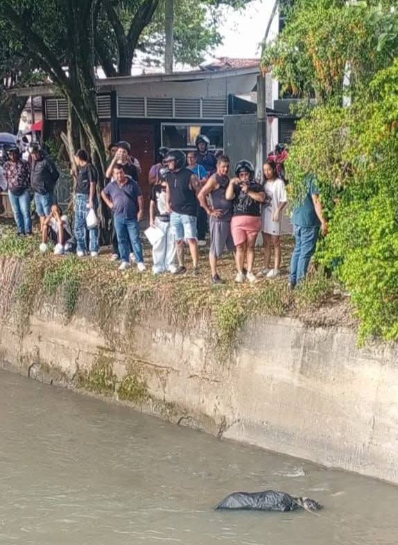 Ultimahora58271's tweet photo. 🚨 #ATENCIÓN | Reportan el hallazgo de una bolsa plástica sospechosa flotando en el río Tuluá, a la altura del puente de la calle 27 con carrera 30. Organismos de socorro y unidades de seguridad ya hacen presencia en el sitio para verificar el contenido.
https://t.co/04JfL7eGi3 https://t.co/MfYXHi989P