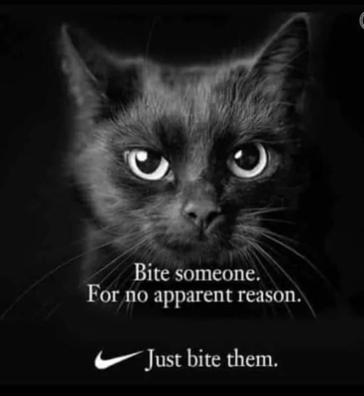 Spill The Memes tweet media